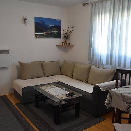 Apartment Vuk Žabljak エクステリア 写真